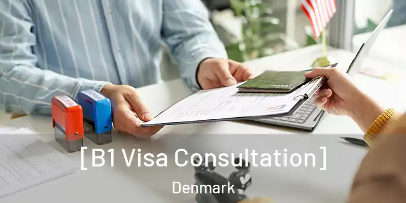  [B1 Visa Consultation] Denmark